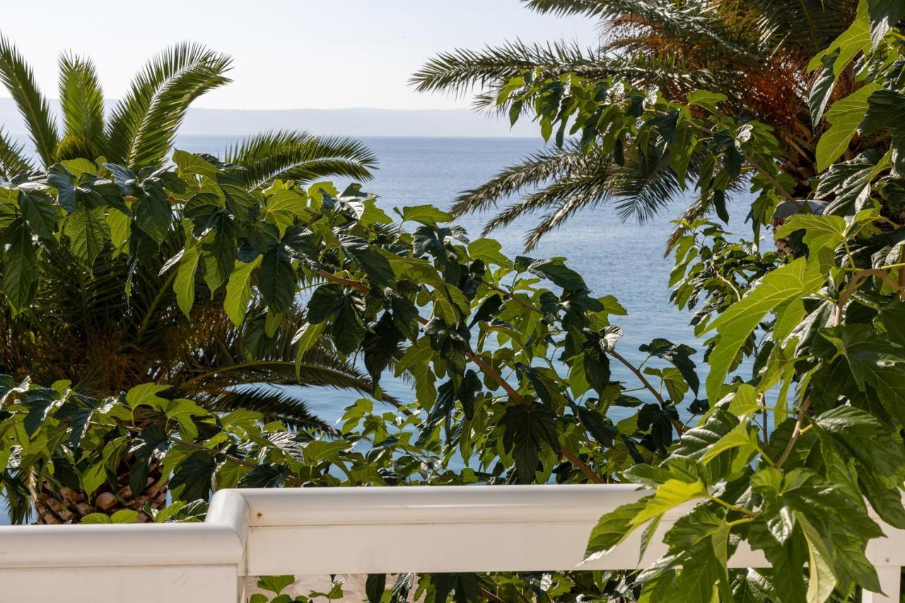 Villa Filip ซิโวกอสเชีย ภายนอก รูปภาพ